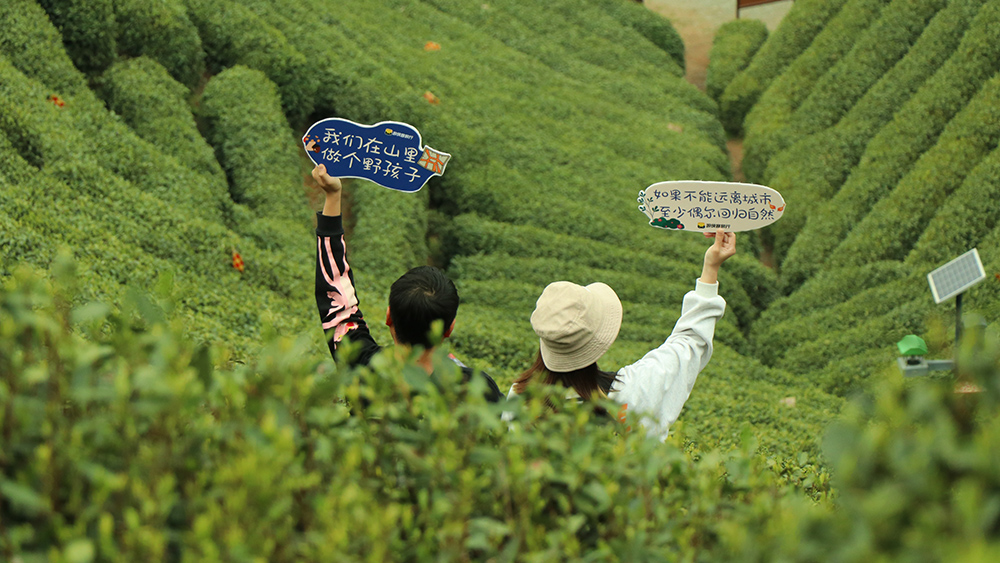疾速·午潮山大环丨千亩茶田,打卡大洋坞水库