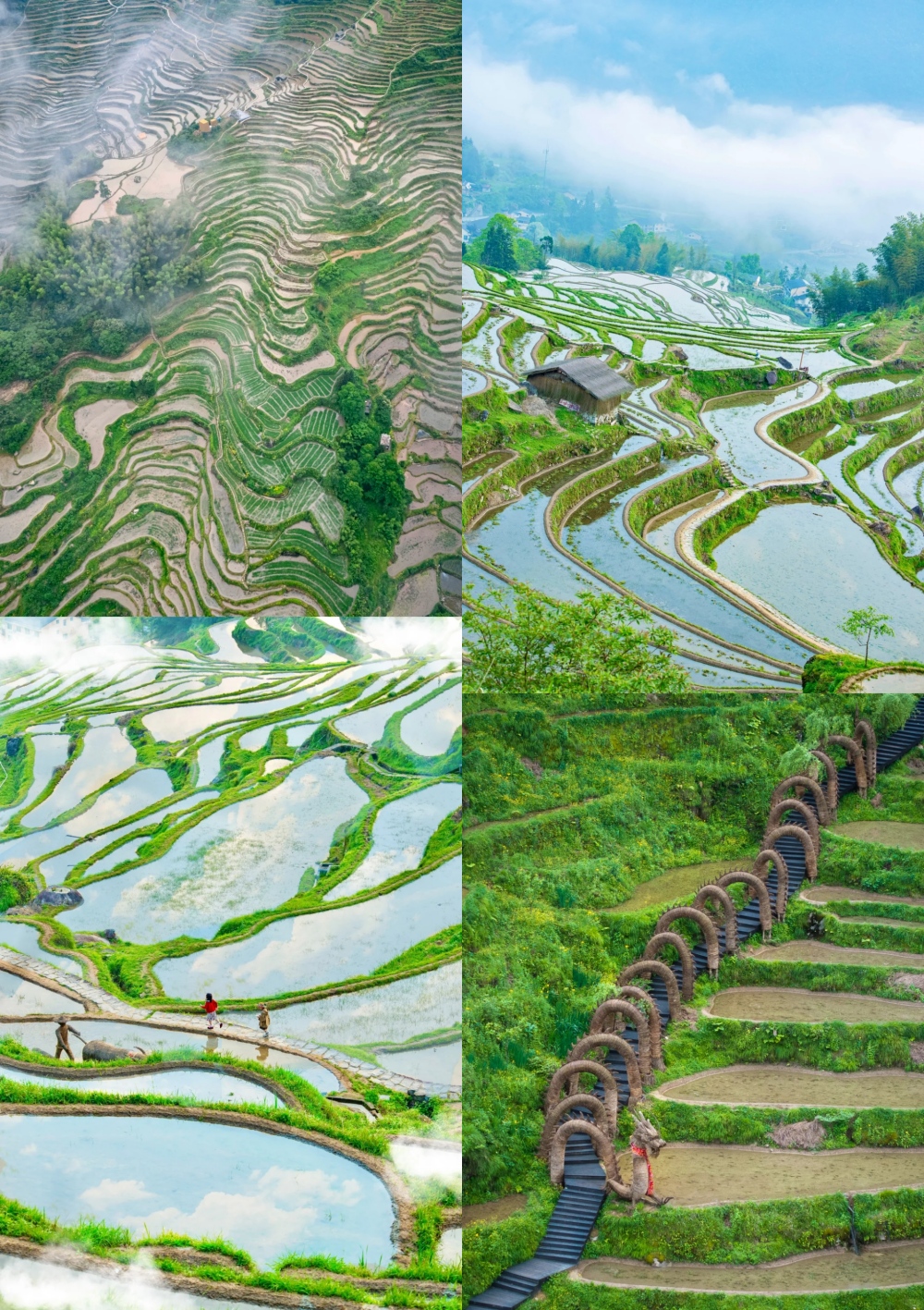 亲子·云和松阳丨探浙南山水秘境，泛瓯江畲寨趣民俗