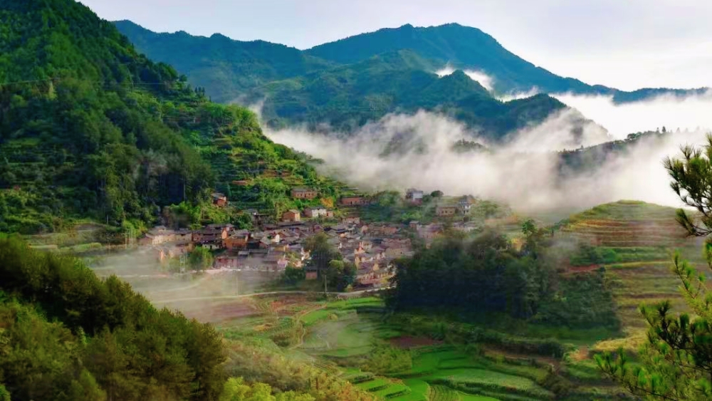 亲子·云和松阳丨探浙南山水秘境，泛瓯江畲寨趣民俗