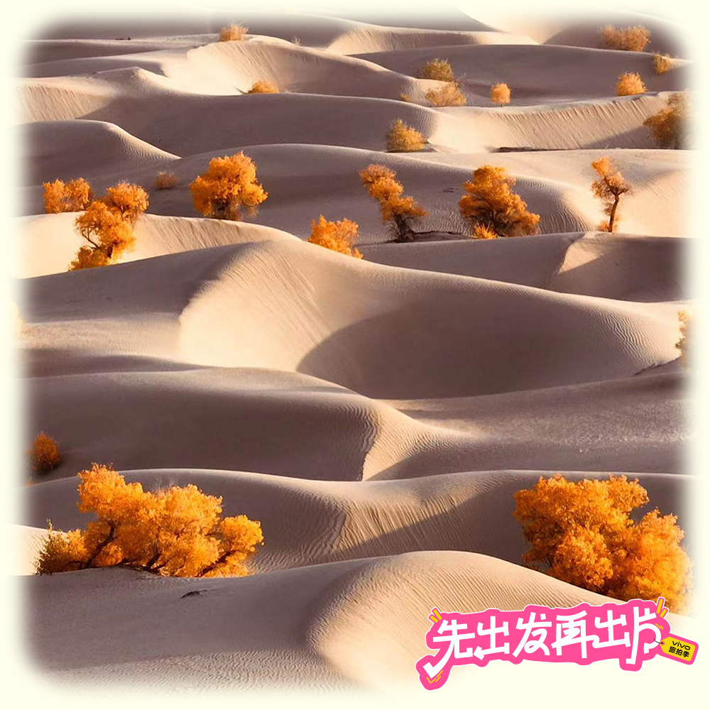 南疆秋摄+帕米尔 | 新疆胡杨+沙漠摄影12日