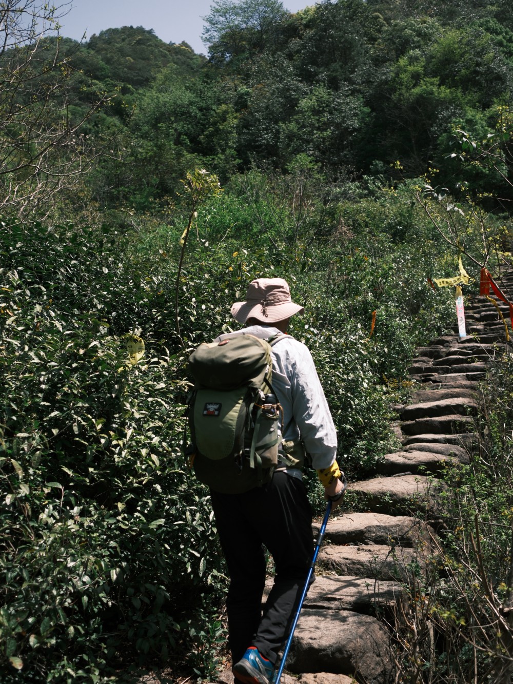 空谷栖云·埃码尖|小众山野清闲古道,登顶埃码尖