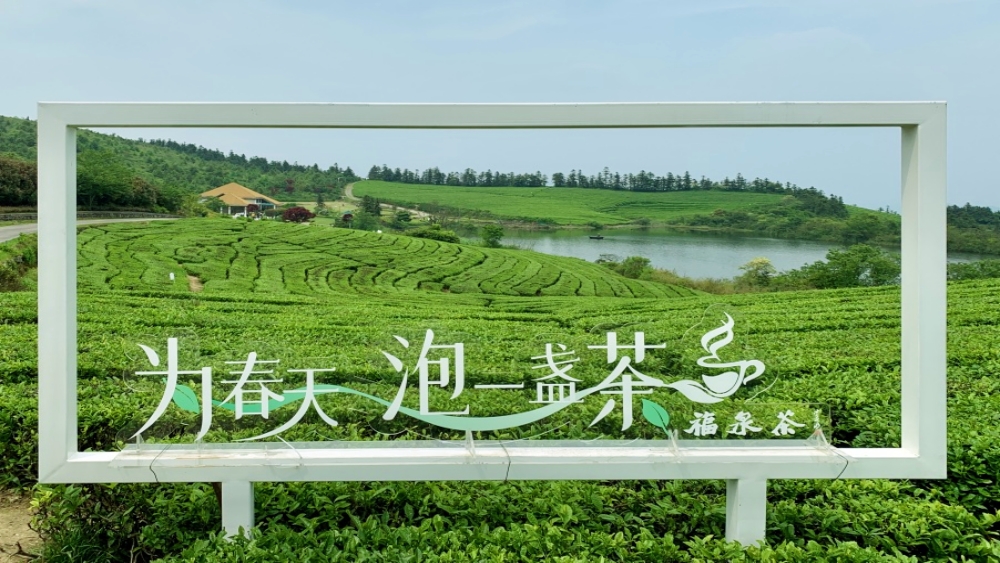疾速追山·飞鹰线｜登山观湖，挑战宁波zui美虐线