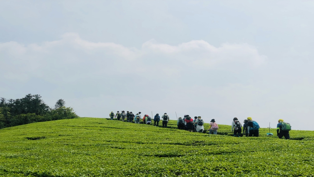 疾速追山·飞鹰线｜登山观湖，挑战宁波zui美虐线