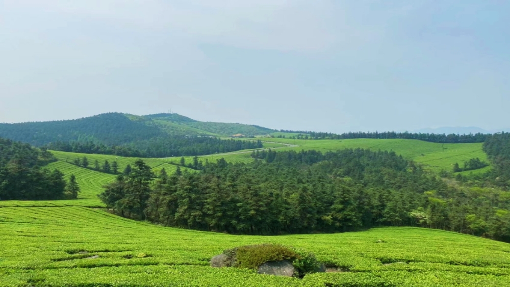 疾速追山·飞鹰线｜登山观湖，挑战宁波zui美虐线