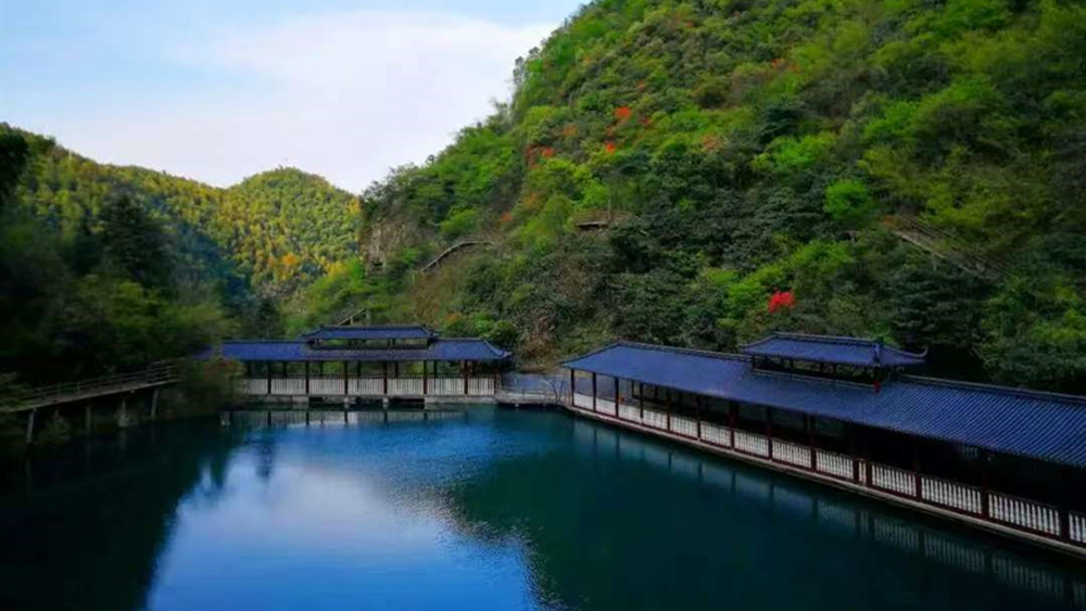 5月25号最后一期·桑葚采摘x灵溪山圣境