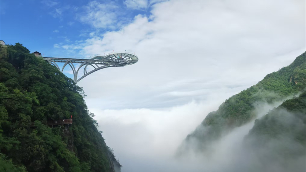 5月25号最后一期·桑葚采摘x灵溪山圣境