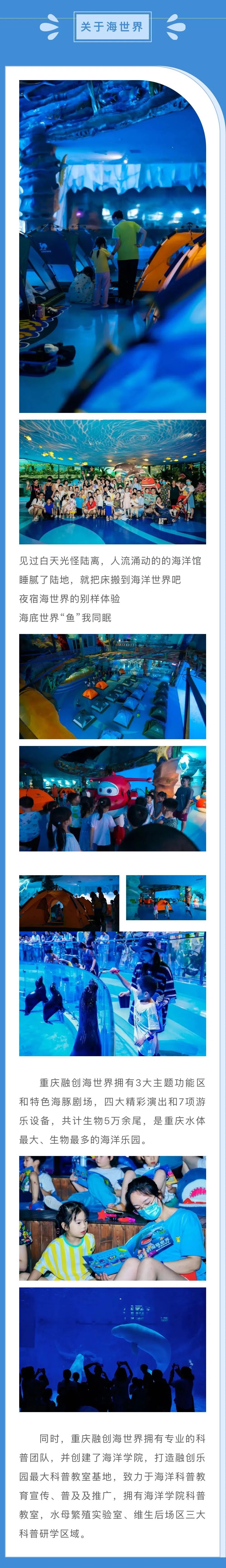 夜访侏罗纪海洋 | 遇见现代海洋的神秘夜晚