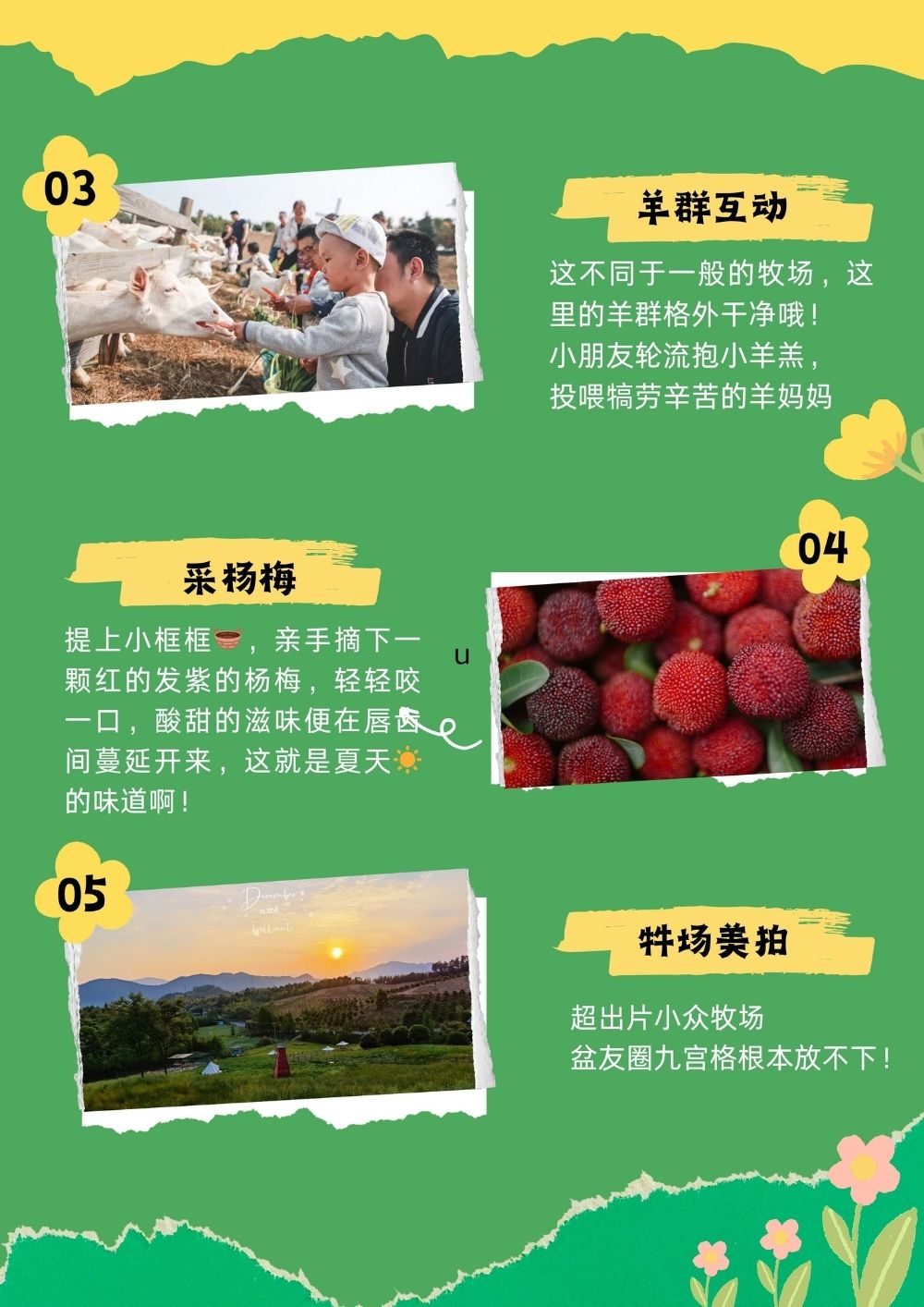 亲子·野趣夏日丨采杨梅，做竹筒饭，调冷饮，煮奶皂 - 小众牧场！一起喝羊奶，抱小羊羔，了解羊羊小知识，喂羊咩咩，做羊奶皂，采杨梅，调冷饮，放风筝，砍竹子现做立夏饭啦