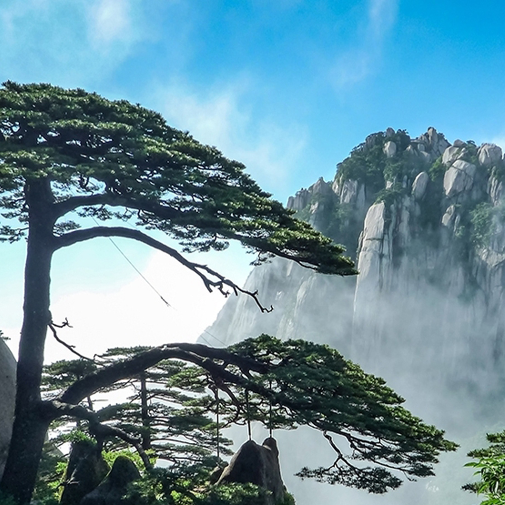 黄山自由行 | 入住山顶2天1晚（清凉黄山过夏天）