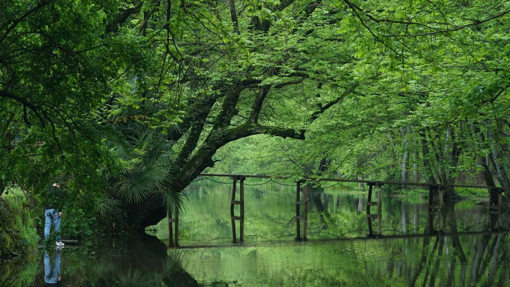 绿野仙踪·西溪南 | 森系慢生活 皖南古村行