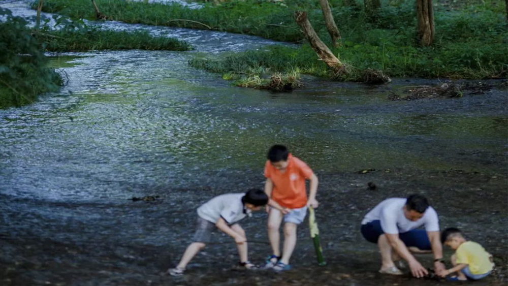 绿野仙踪·西溪南 | 森系慢生活 皖南古村行