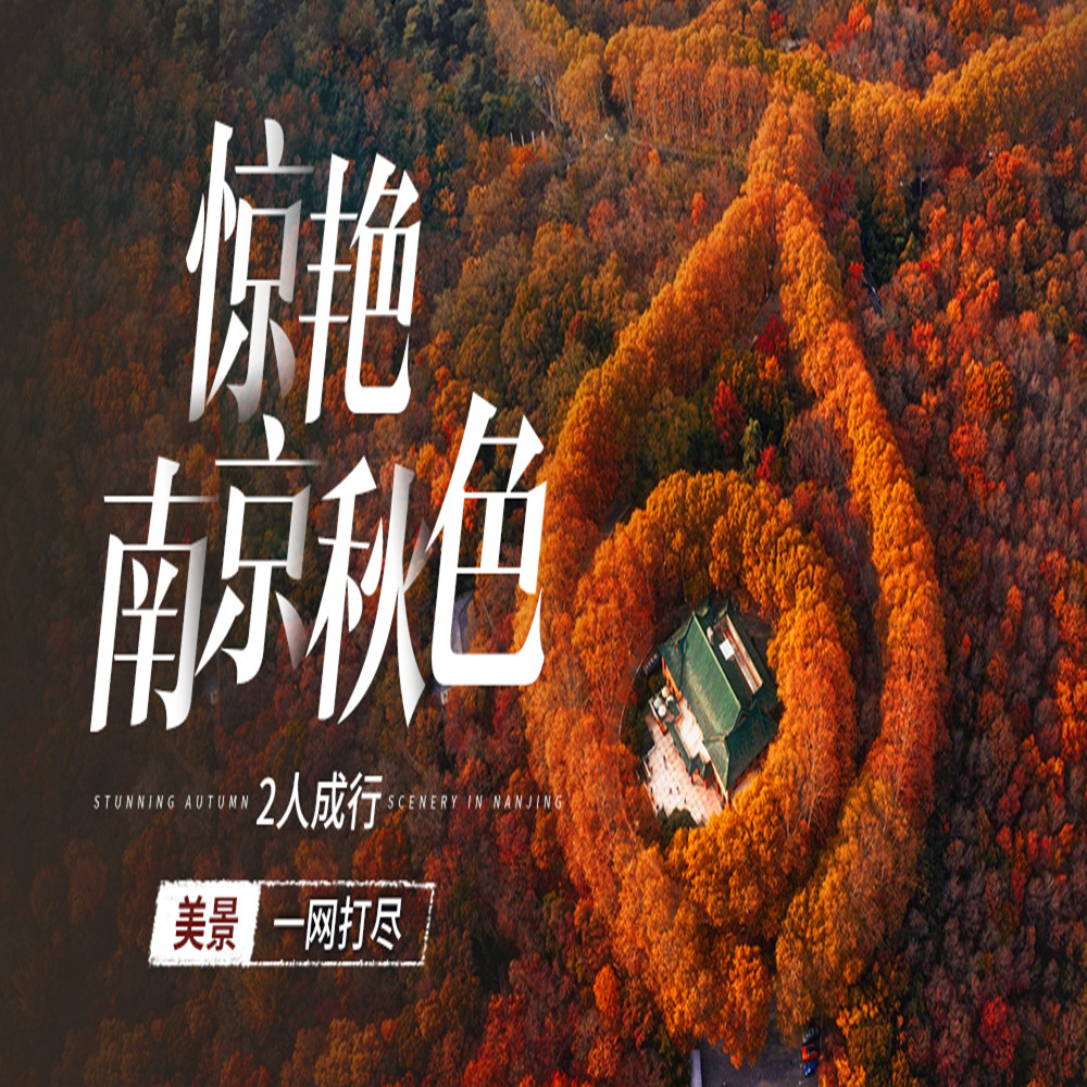 惊艳南京秋色 | 2人成行遍赏金陵，小车私享！