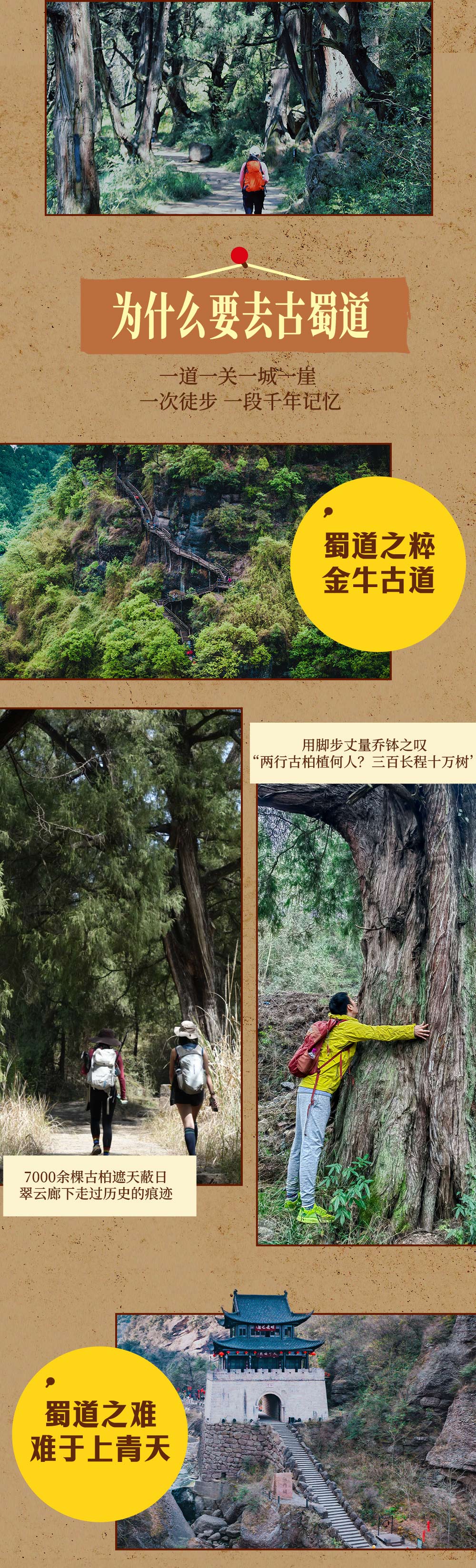 人文徒步・蜀道寻踪5日 | 中国人的朝圣之路 - 3段40公里金牛道精华 | 皇柏大道—翠云廊 | 李白成名处—剑门关 | 石窟艺术明珠—千佛崖/皇泽寺 | 蜀汉龙兴之地—昭化古城