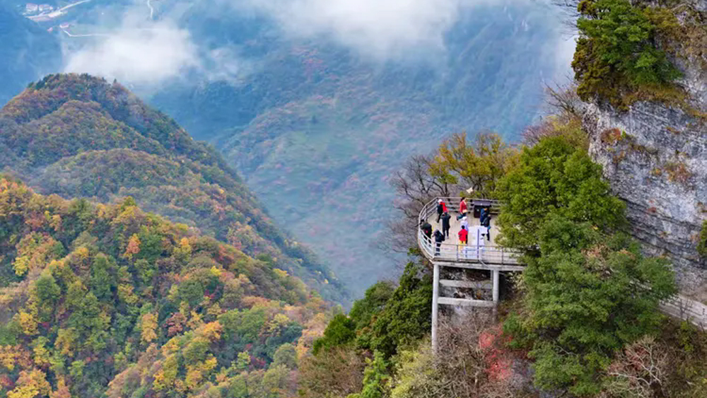 秦岭行旅|去秦岭看七仔!沿龙脉感受山水野趣6日