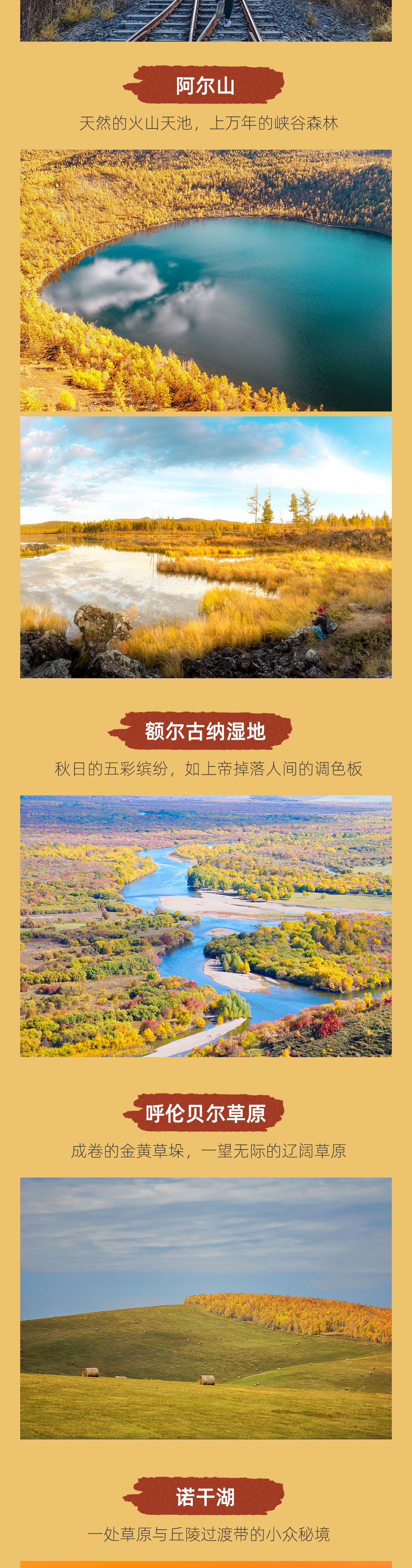 尊享·呼伦贝尔秋色8日丨阿尔山+莫尔道嘎+大草原 - 秋色全景环线丨越野车白桦林草原穿越丨莫尔道嘎森林小火车丨额尔古纳国家湿地公园丨阿尔山天池森林丨敖鲁古雅驯鹿丨马背骑行