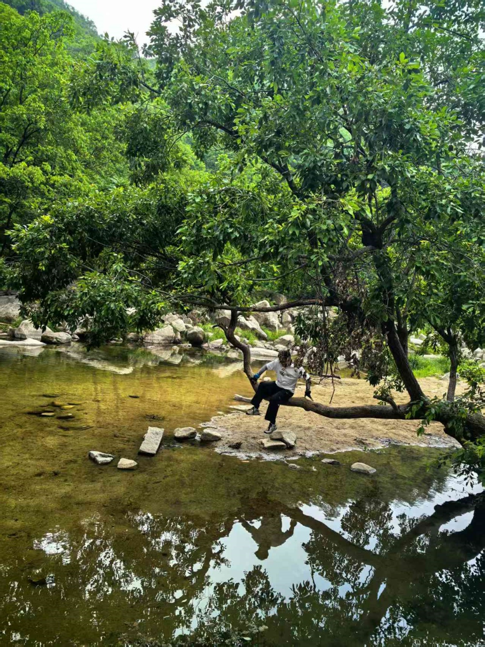 初夏寻幽 ·百尺潭丨伏牛山秘境溯溪 百尺高崖飞瀑