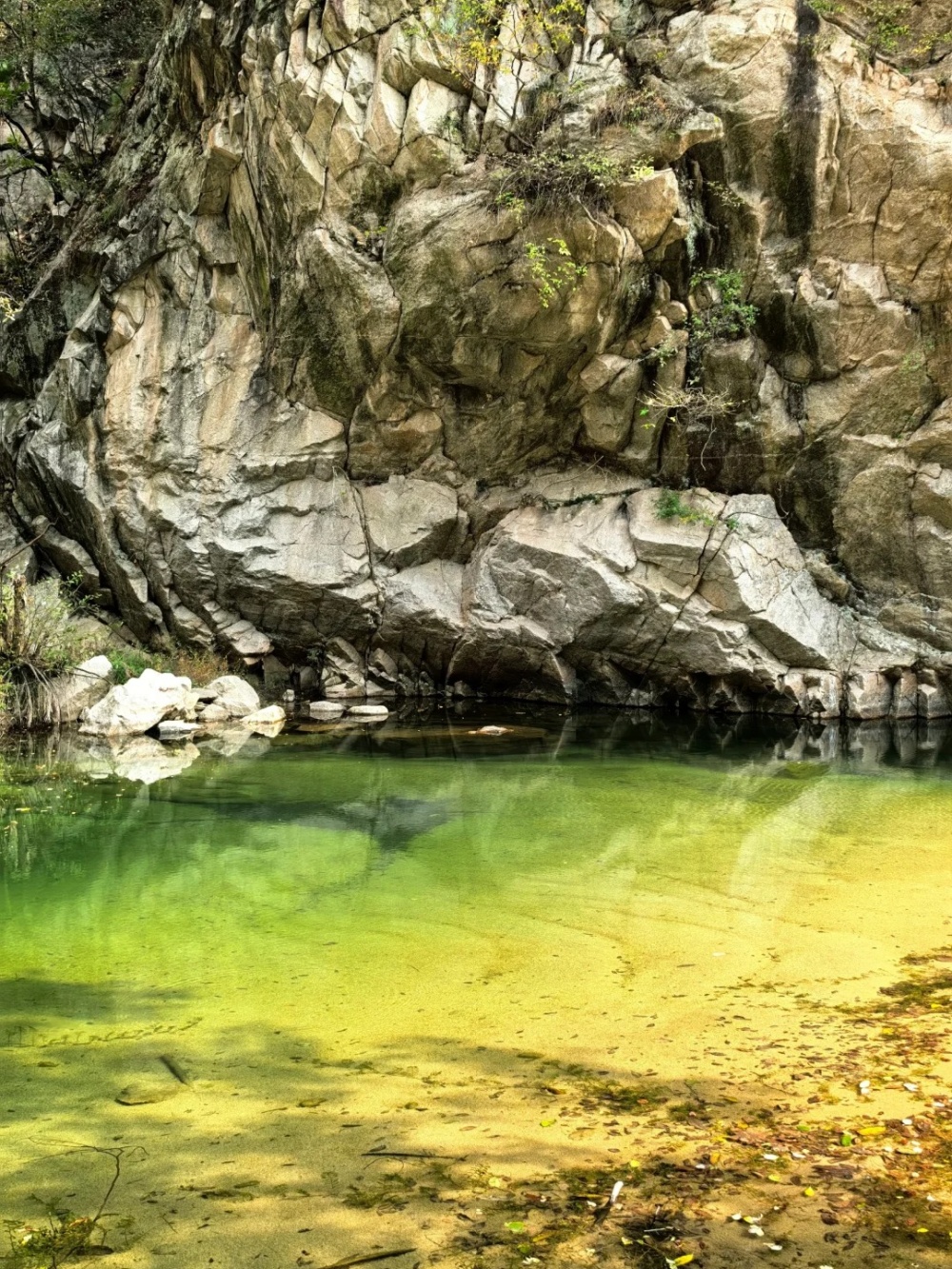 初夏寻幽 ·百尺潭丨伏牛山秘境溯溪 百尺高崖飞瀑