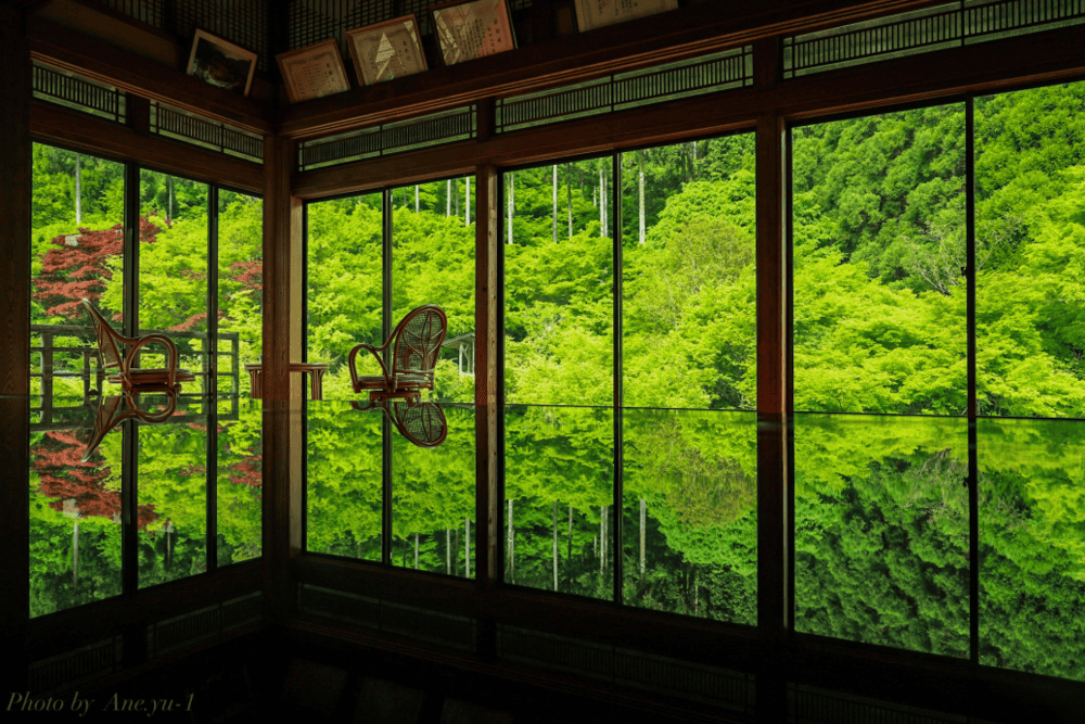 日本自由行・九州 | 特惠・上海直飞北九州环游