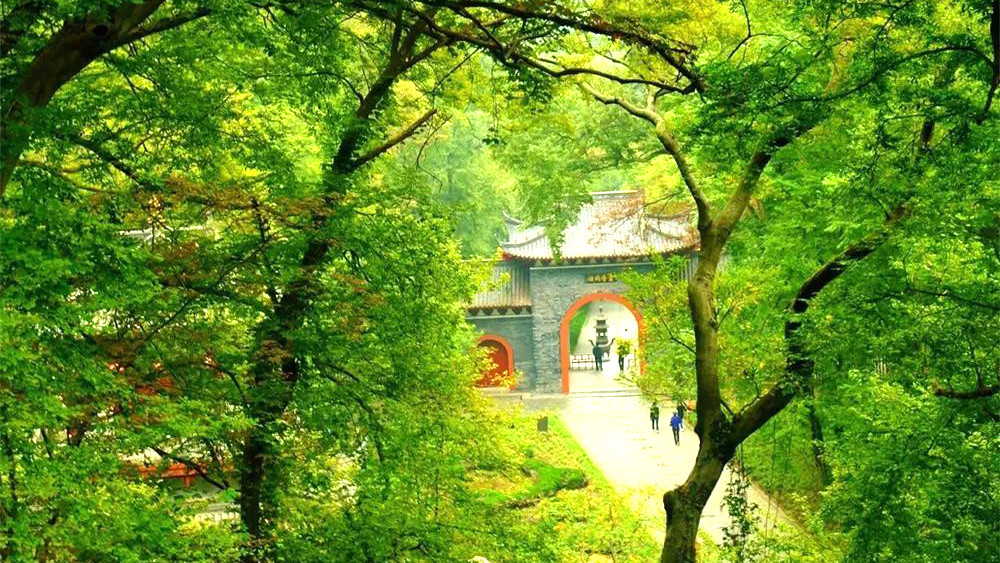 疾速追山·琅琊山环线 | 醉翁之意,山水琅琊