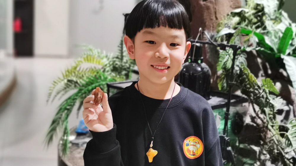 亲子·琥珀奇遇记丨打造时光之石半日