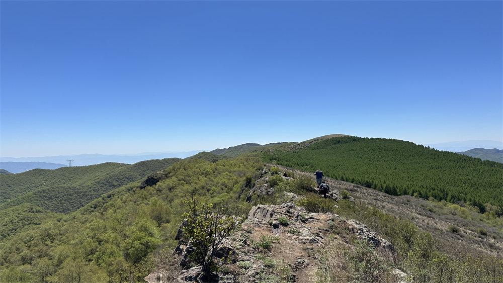 勇者无畏·大黑峰丨高山草甸,野花盛开环穿1日