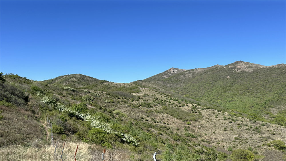 勇者无畏·大黑峰丨高山草甸,野花盛开环穿1日