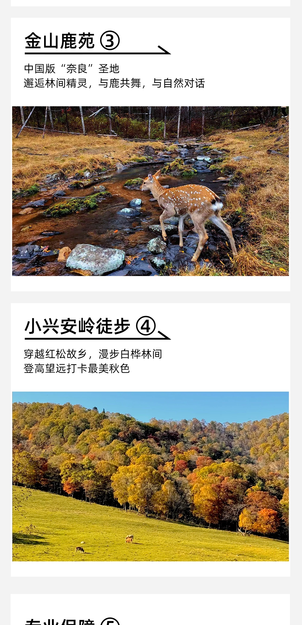 轻户外·金秋小兴安岭 | 深入东北秘境 - 走进金秋小兴安岭 | 打卡边境公路G331 | 新清湿地观鸟 | 徒步汤旺河石林 | 登高峰岩山寨 | 小兴安岭徒步野餐