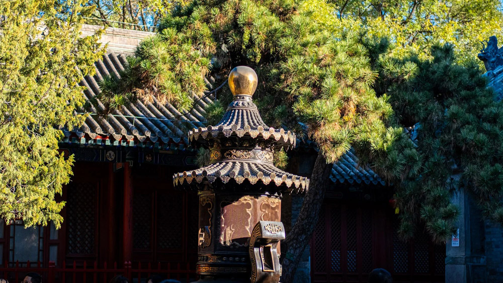 宝藏小城·老北京文化地标丨法源寺-烂漫胡同-牛街