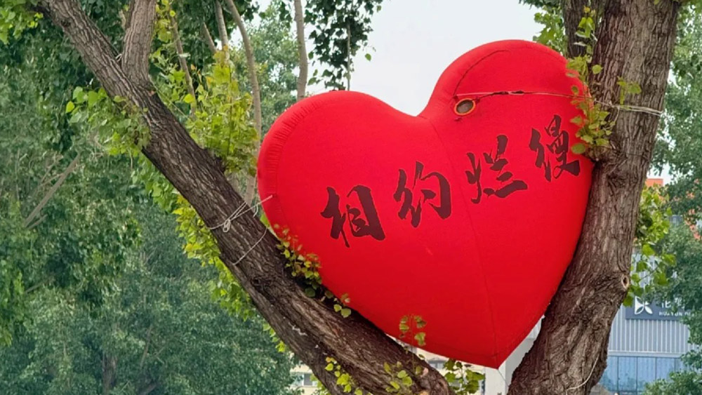 宝藏小城·老北京文化地标丨法源寺-烂漫胡同-牛街