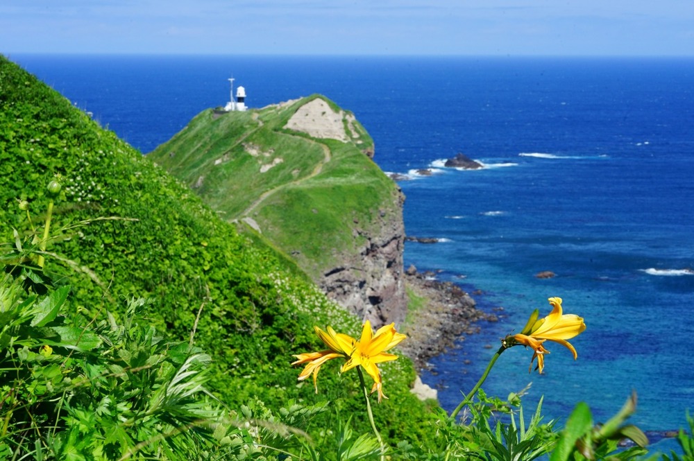 北海道之夏・花海牧歌|跳进北纬40度的彩色夏天