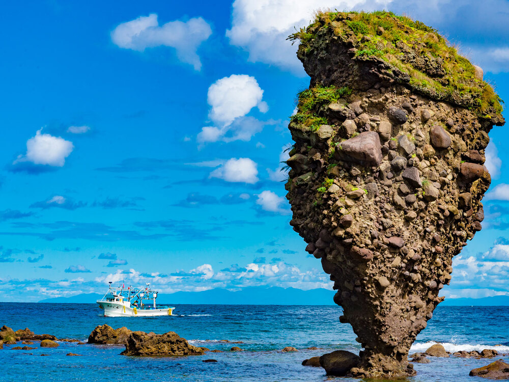 北海道之夏・花海牧歌|跳进北纬40度的彩色夏天