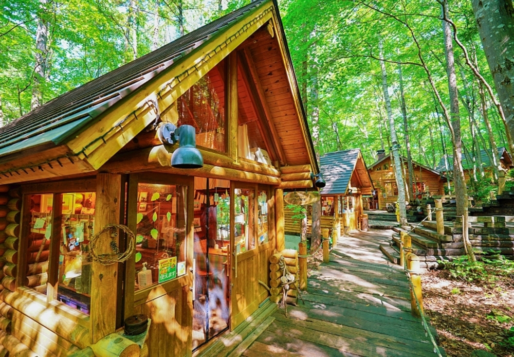北海道之夏・花海牧歌|跳进北纬40度的彩色夏天