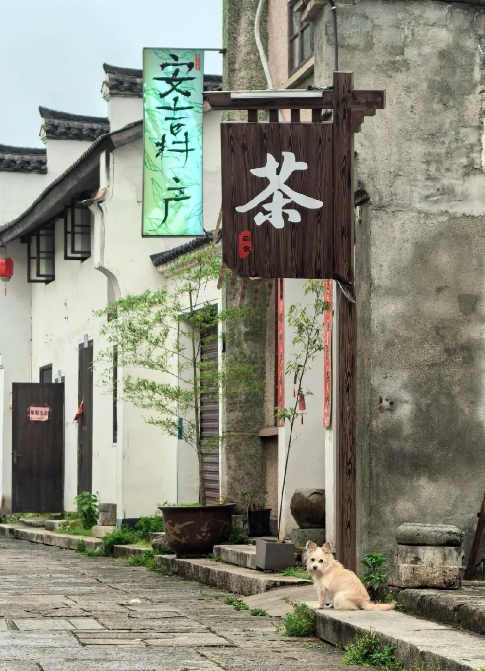夏日溯野·大野洼｜溯溪宁国天花板，刺激漂流虎跃峡