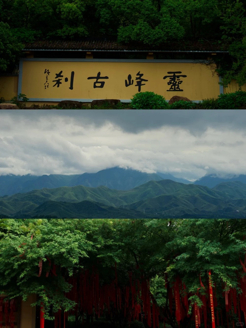 夏日溯野·大野洼｜溯溪宁国天花板，刺激漂流虎跃峡
