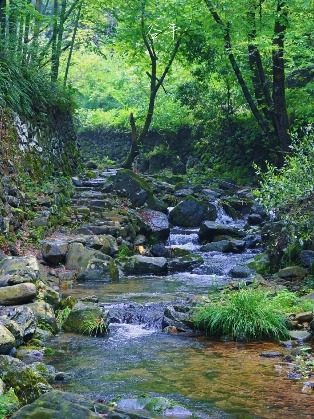 竹溪古径·上王岗|余姚竹隐古道,苔藓、瀑布与溪流