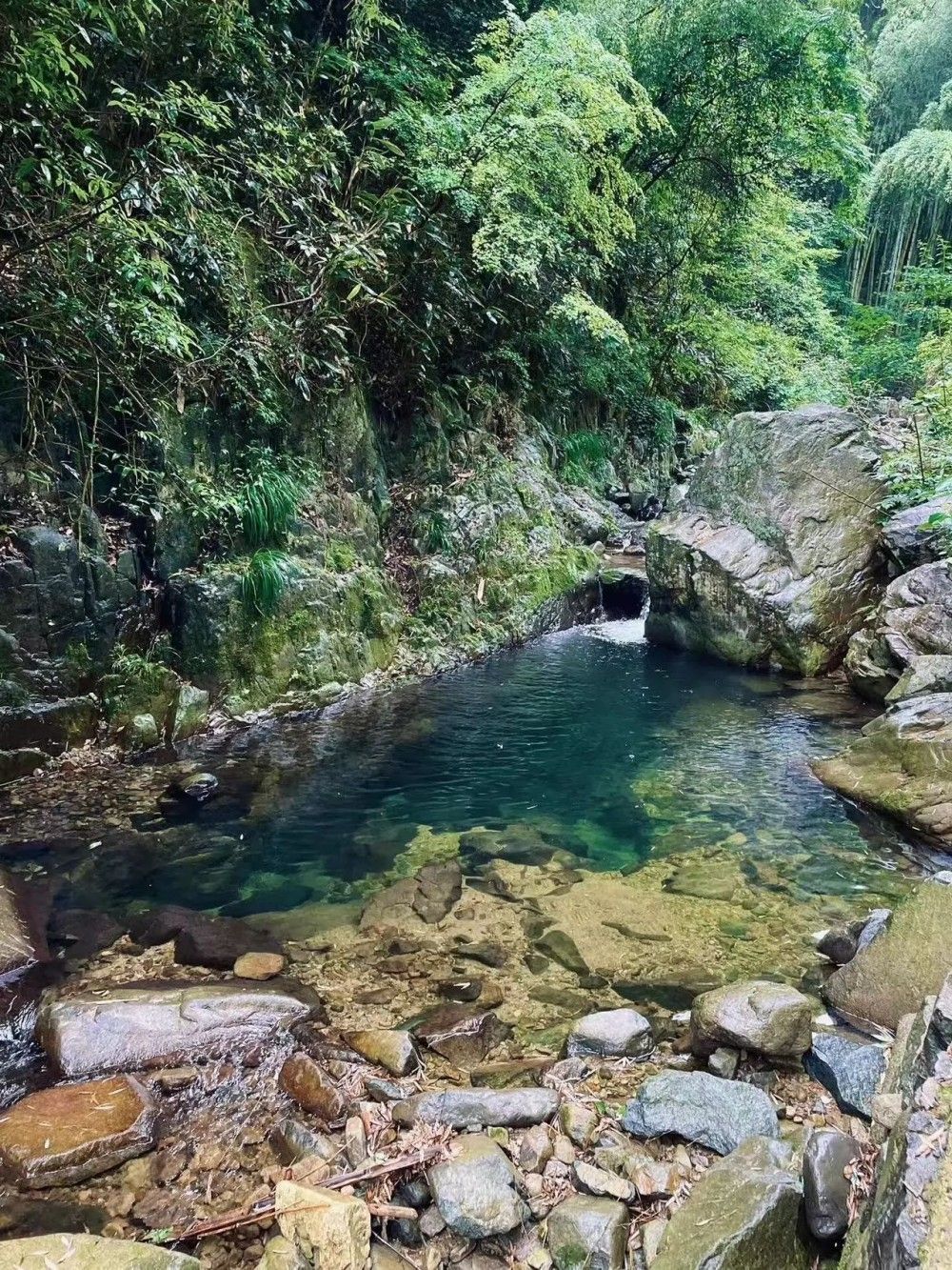 竹溪古径·上王岗|余姚竹隐古道,苔藓、瀑布与溪流