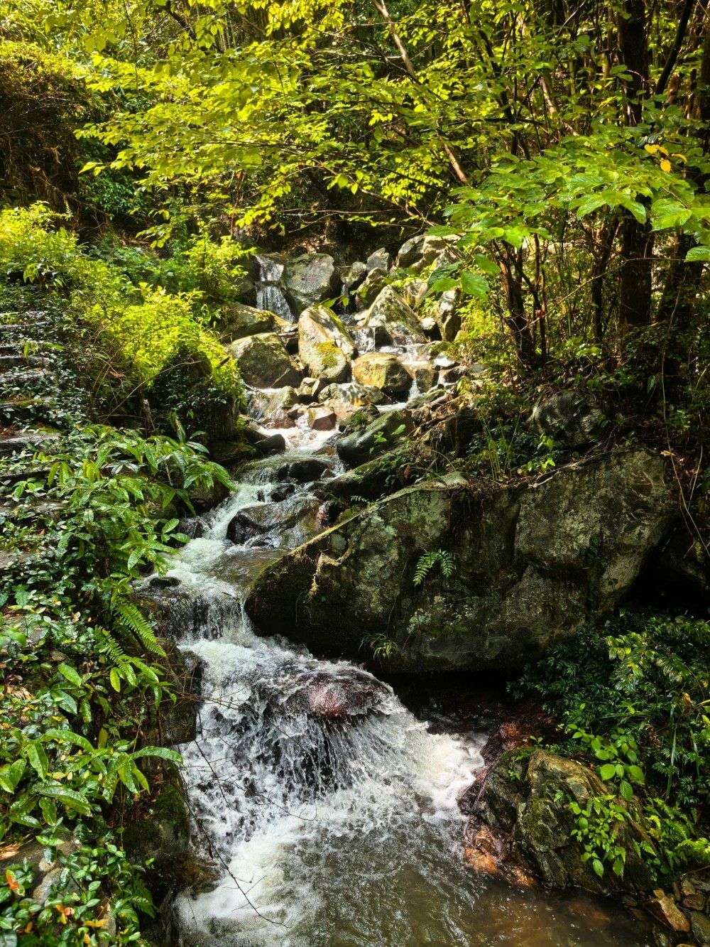 竹溪古径·上王岗|余姚竹隐古道,苔藓、瀑布与溪流