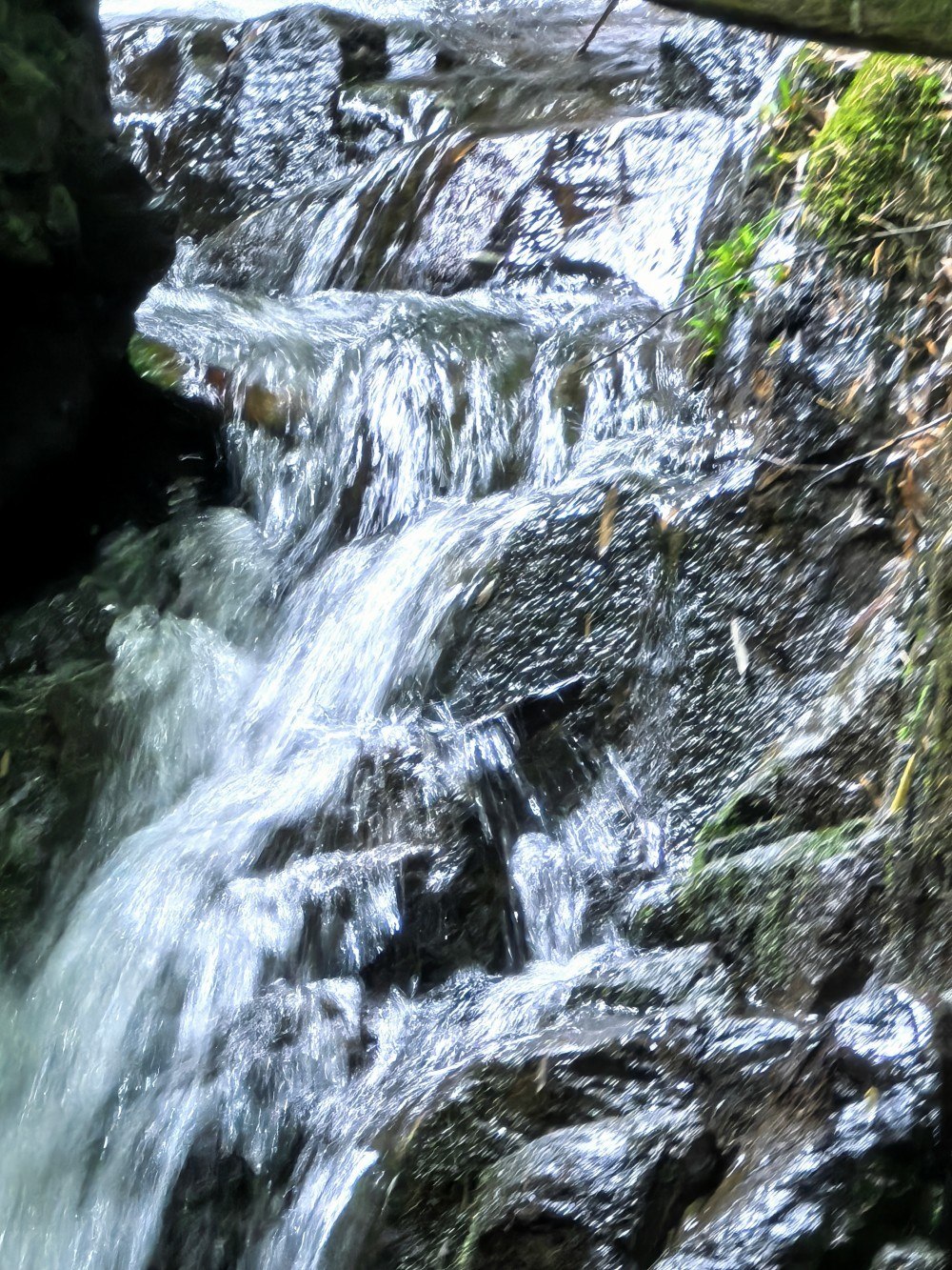 竹溪古径·上王岗|余姚竹隐古道,苔藓、瀑布与溪流