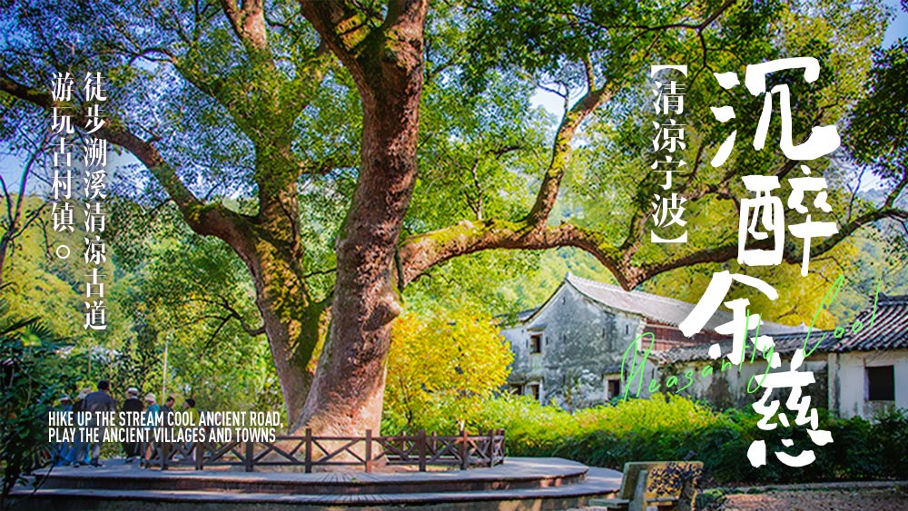 溪水竹林·茭湖古道｜前往冠佩古村的秘境古道之旅