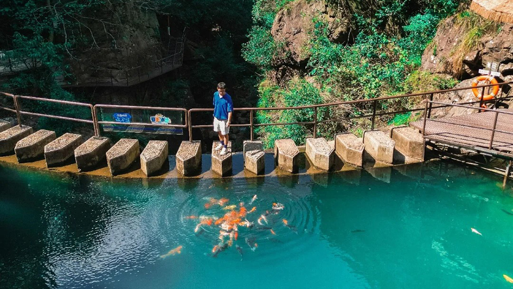 富春山水·大奇山丨森林氧吧夏日避暑，清凉龙门古镇