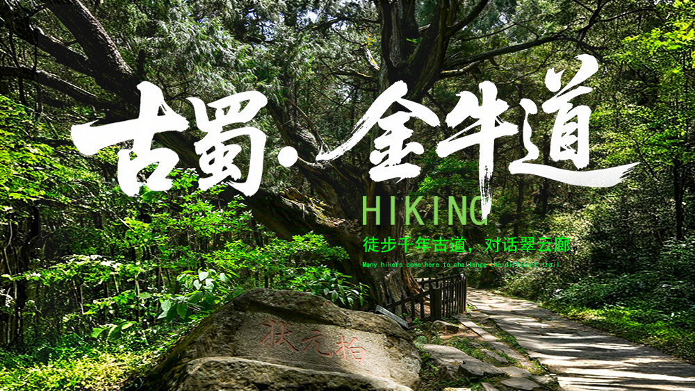 金牛古蜀道·感受千年古蜀道、国内人文徒步天花板！