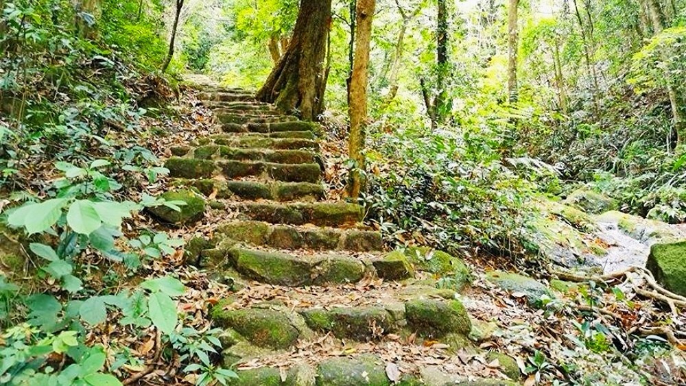 罗浮山画鱼丨清凉溪谷徒步,探丛林飞瀑,登飞云顶