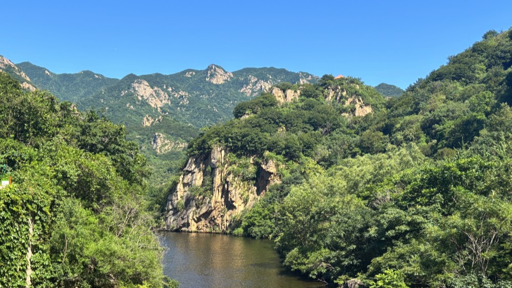 清凉一夏·椴树岭丨原始森林，戏水百泉山穿越1日