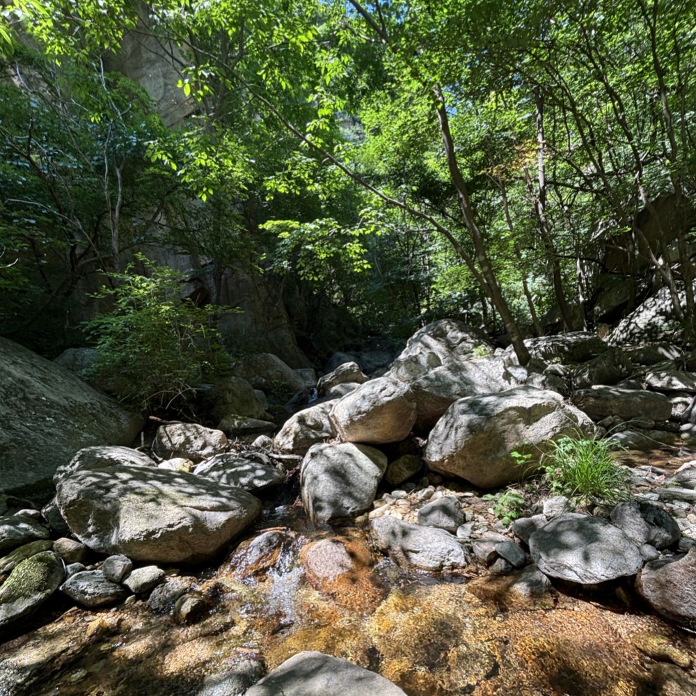 清凉一夏·椴树岭丨原始森林,戏水百泉山穿越1日