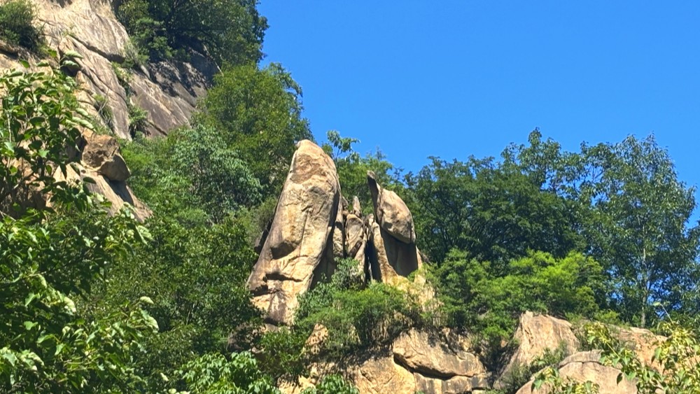 清凉一夏·椴树岭丨原始森林,戏水百泉山穿越1日