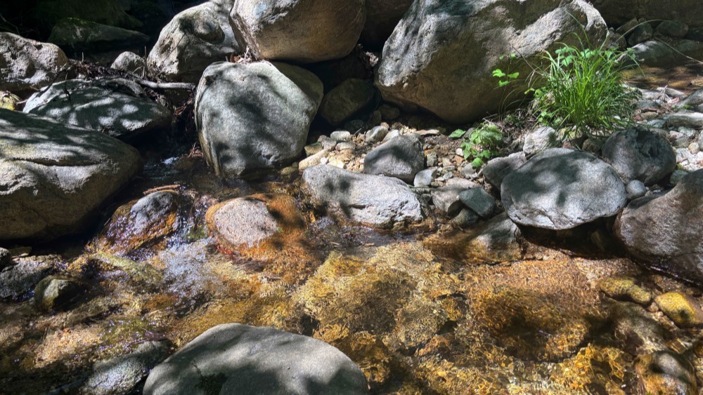 清凉一夏·椴树岭丨原始森林,戏水百泉山穿越1日