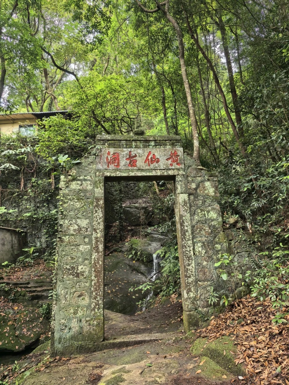 罗浮山画鱼丨清凉溪谷徒步,探丛林飞瀑,登飞云顶