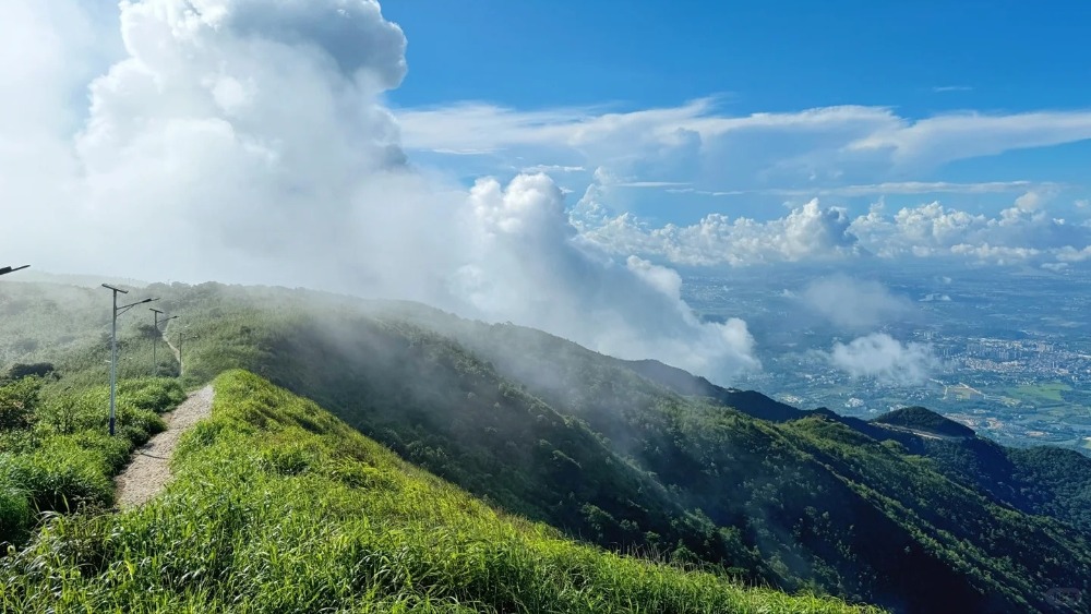 罗浮山画鱼丨清凉溪谷徒步,探丛林飞瀑,登飞云顶