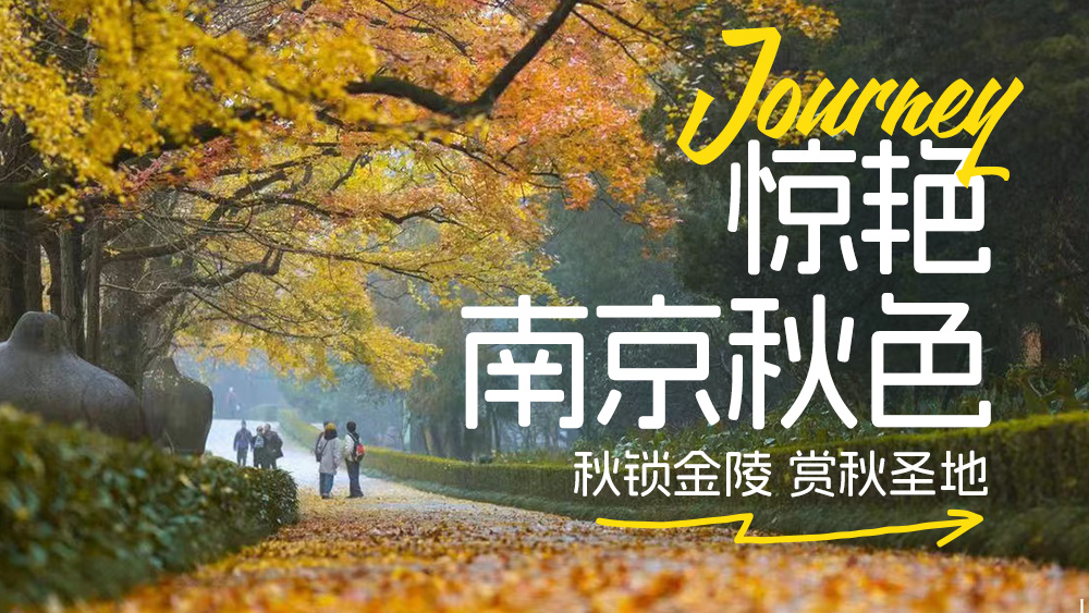 惊艳·金陵秋色 | 4日休闲赏秋之旅