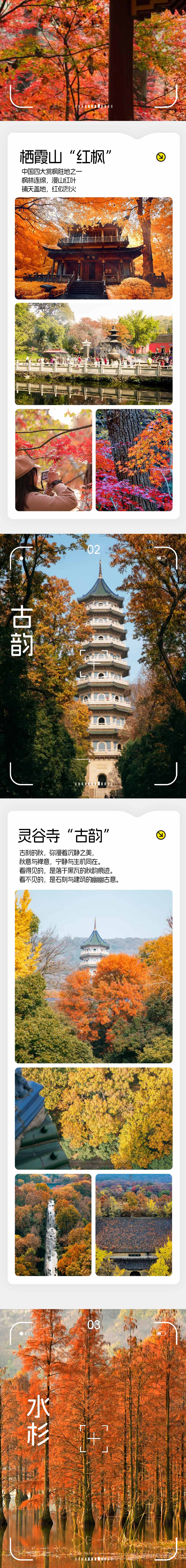 惊艳·金陵秋色 | 4日休闲赏秋之旅 - 私藏隐秘秋色 | 全程住宿精选酒店 | 明孝陵黄金神道-止马岭水杉晨曦-栖霞山红枫林-池杉湖万鸟